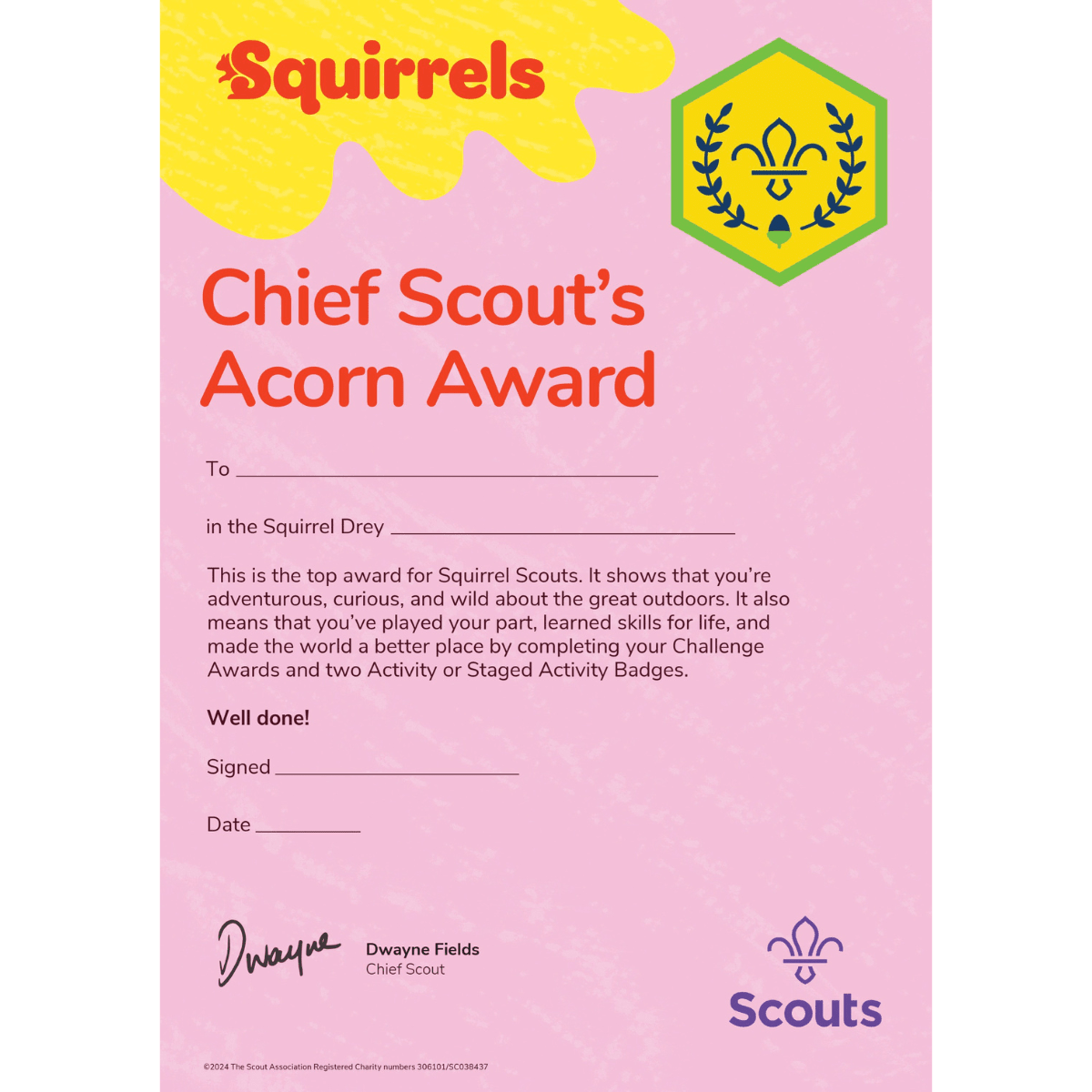 Squirrels Chief Scout Award Acorn Certificates Pack of 10