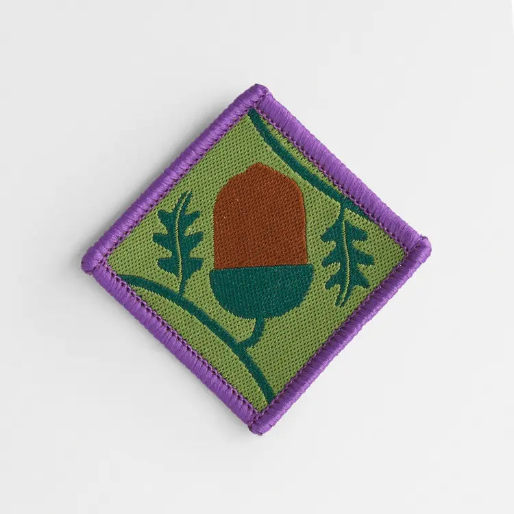 Young Leaders Scheme Module A Badge