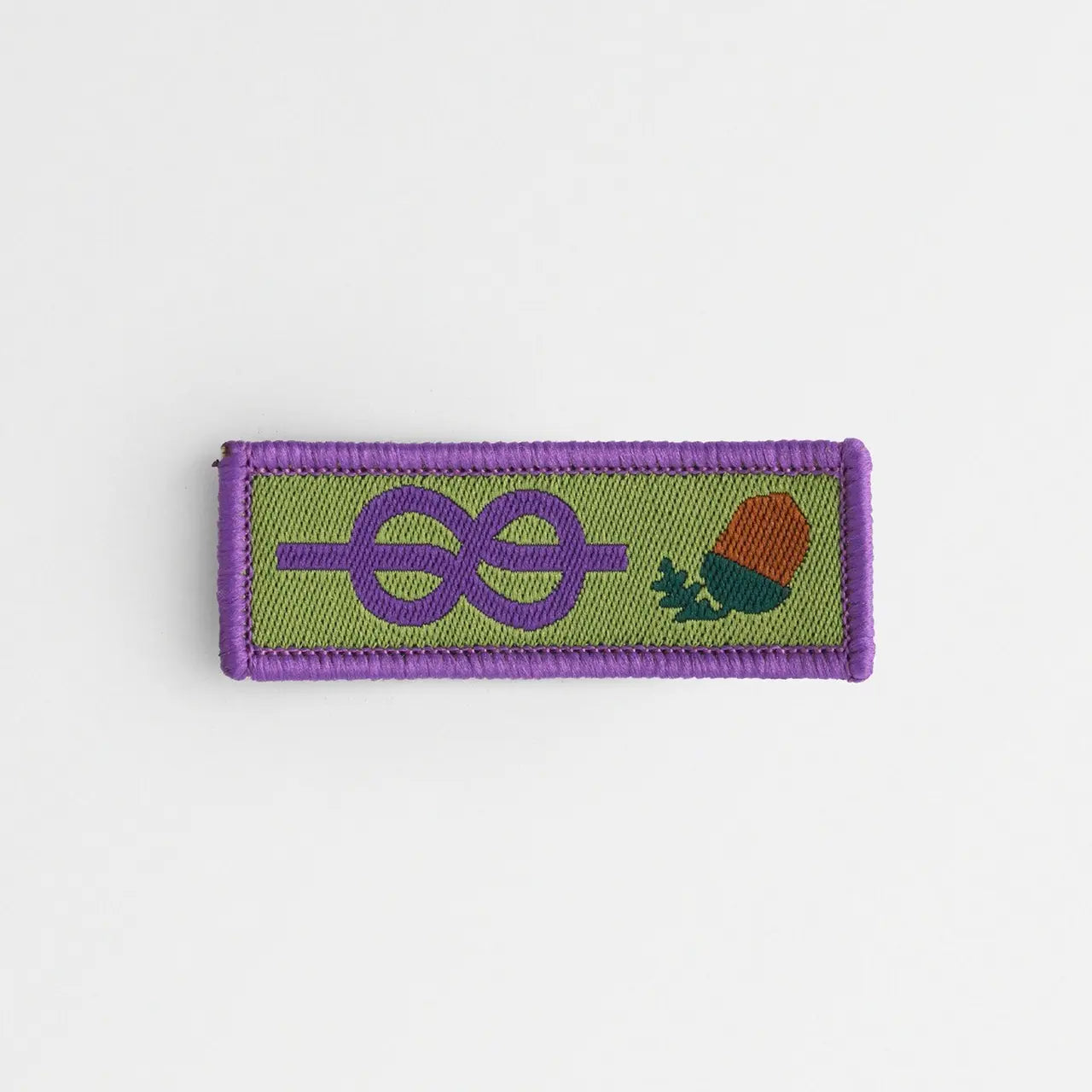 Young Leaders Scheme Adult Recognition Award Badge