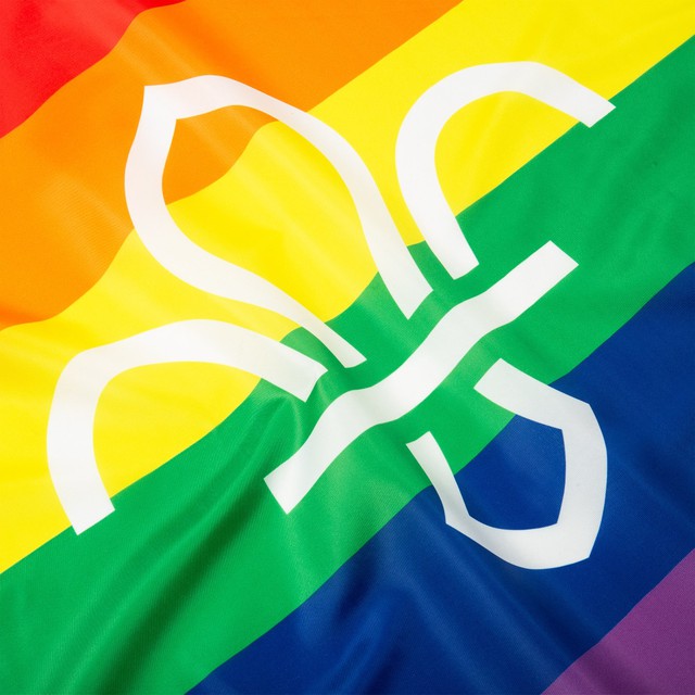 Scouts Pride Flag 48" x 30"