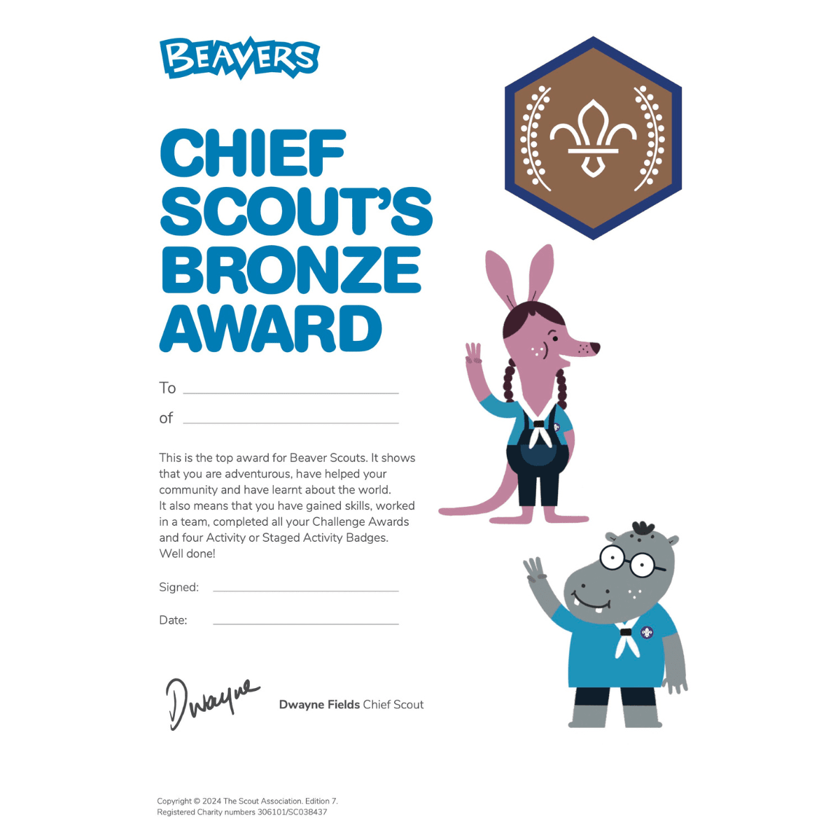 Beavers Chief Scout Award Bronze Certificates Pack of 10