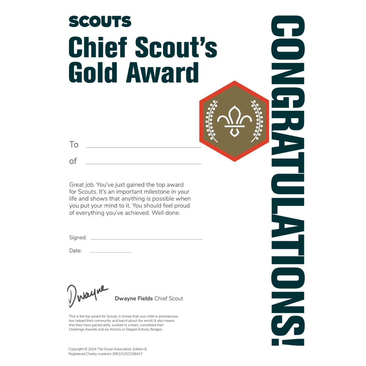 Scouts Chief Scout Award Gold Certificates Pack of 10