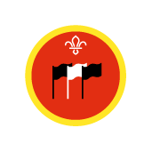 Cubs International Activity Badge
