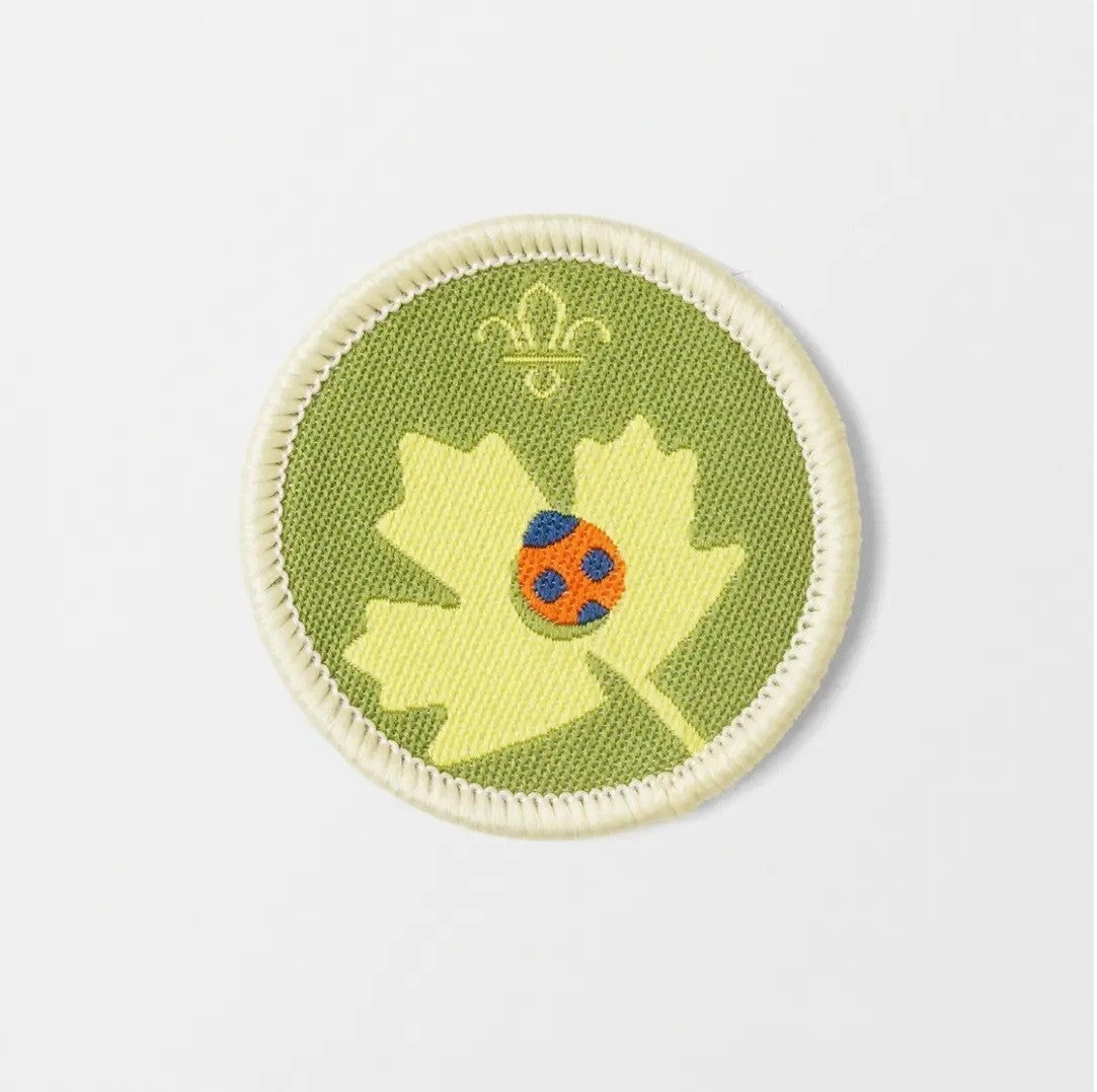 Explorers Nature Activity Badge