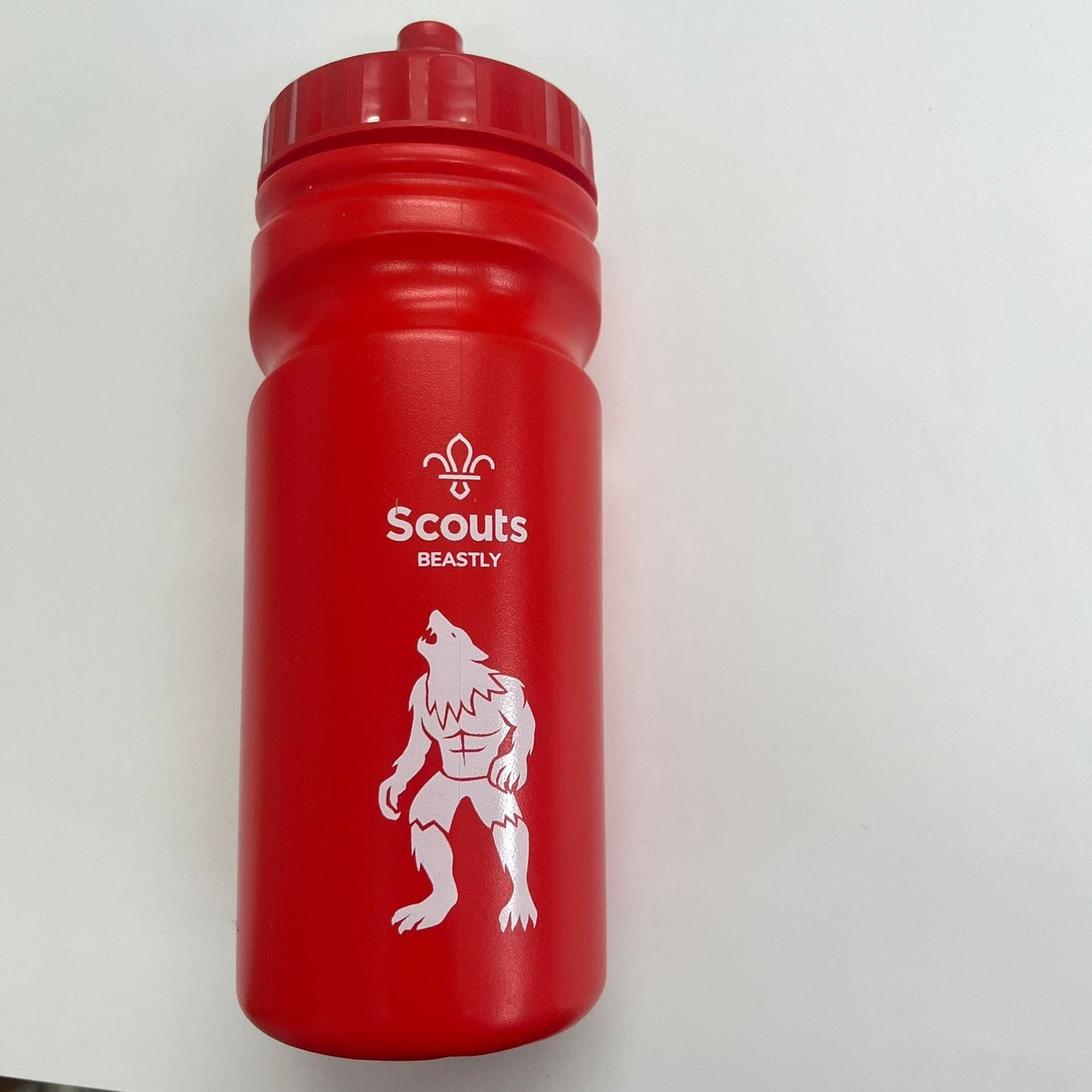 BEASTLY Water Bottle