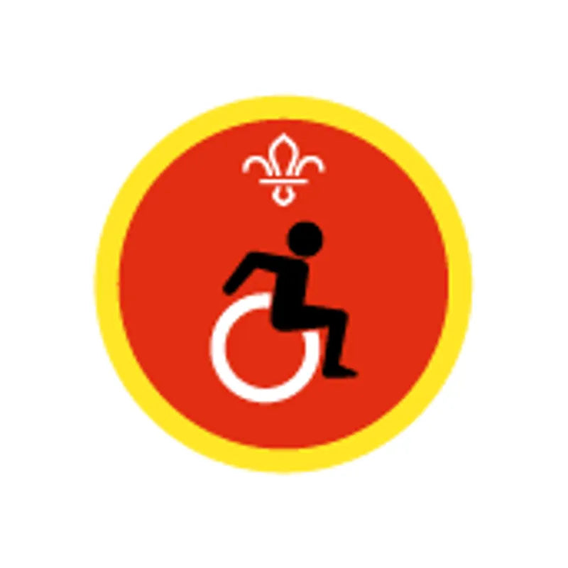 Cubs Disability Awareness Activity Badge Old Design
