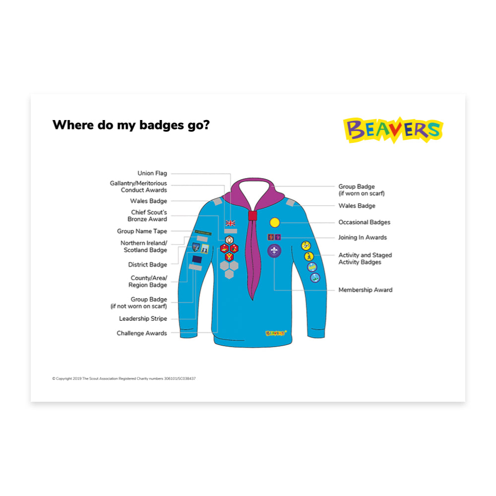 Uniform Badge Placement Diagram/Poster Beavers