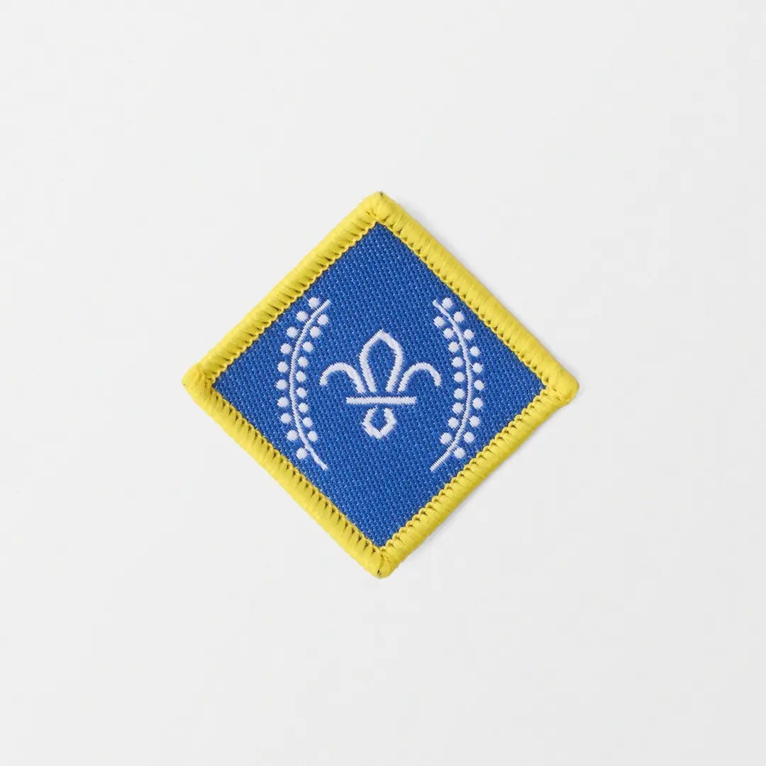 Chief Scouts Platinum Award Badge