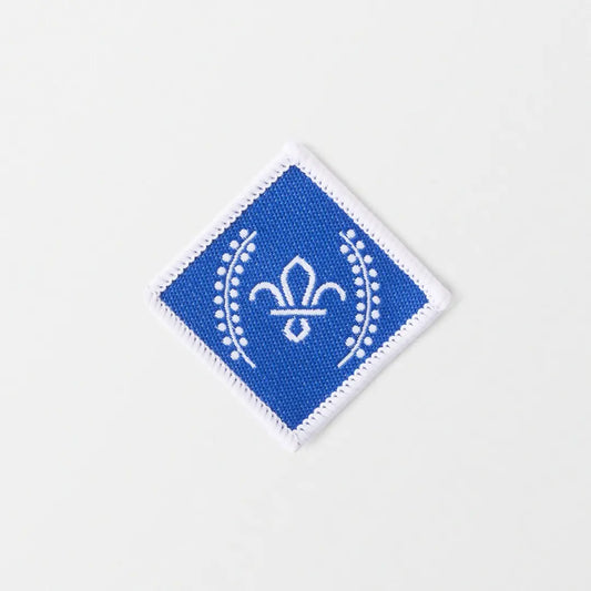 Chief Scouts Diamond Award Badge
