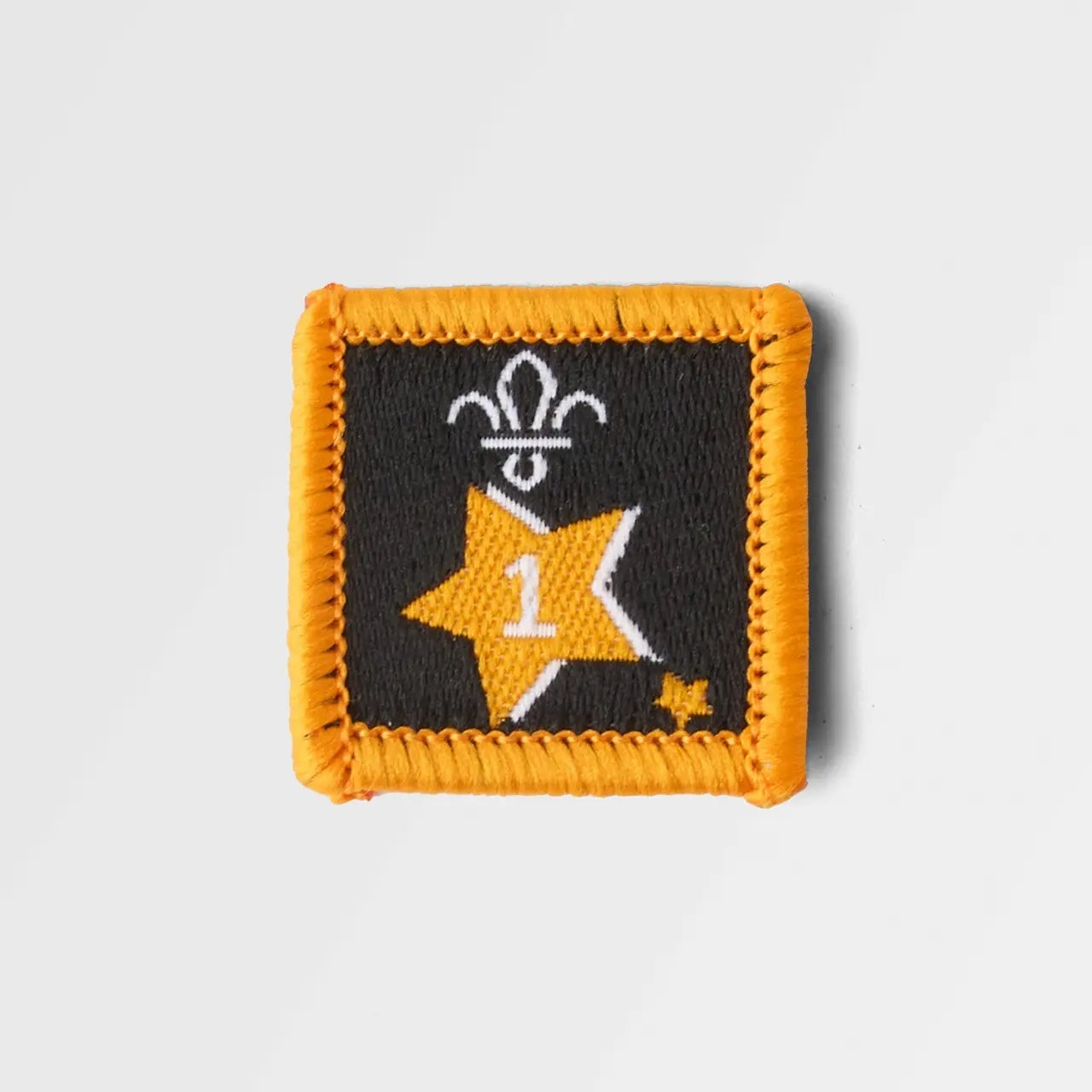 Joining in Award Badge