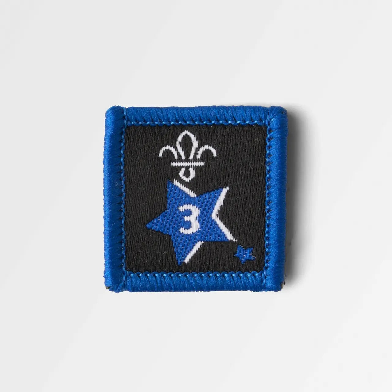 Joining in Award Badge