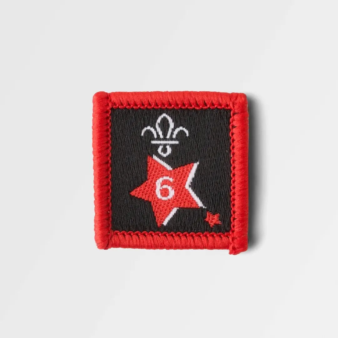 Joining in Award Badge