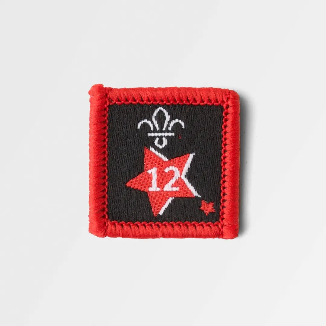 Joining in Award Badge