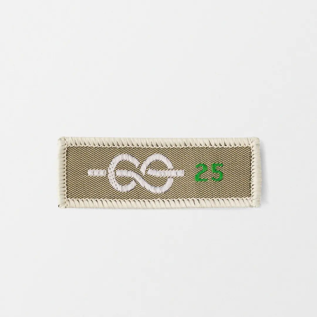 25 Yrs Chief Scout's Service Award