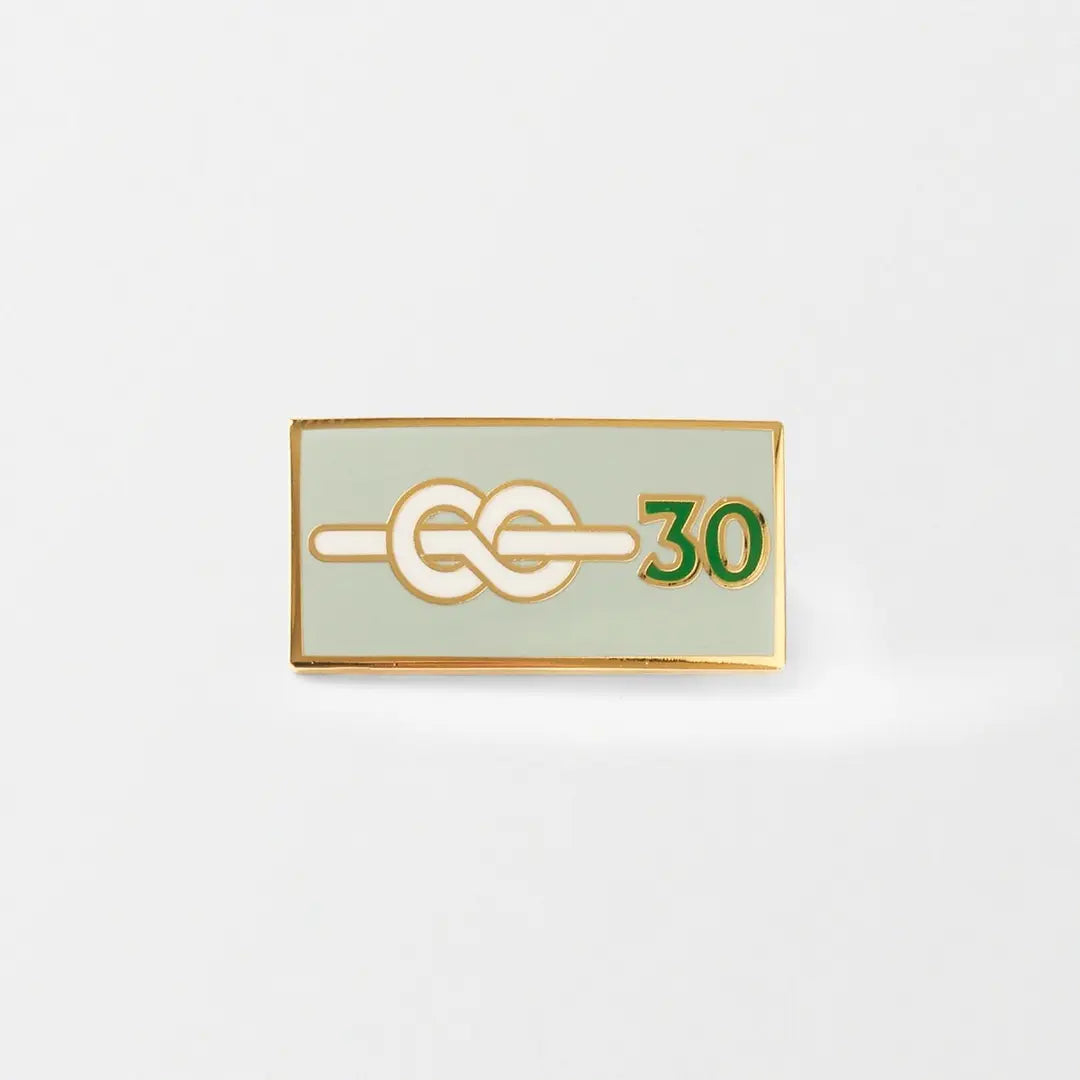 30 Yrs Chief Scout's Service Award
