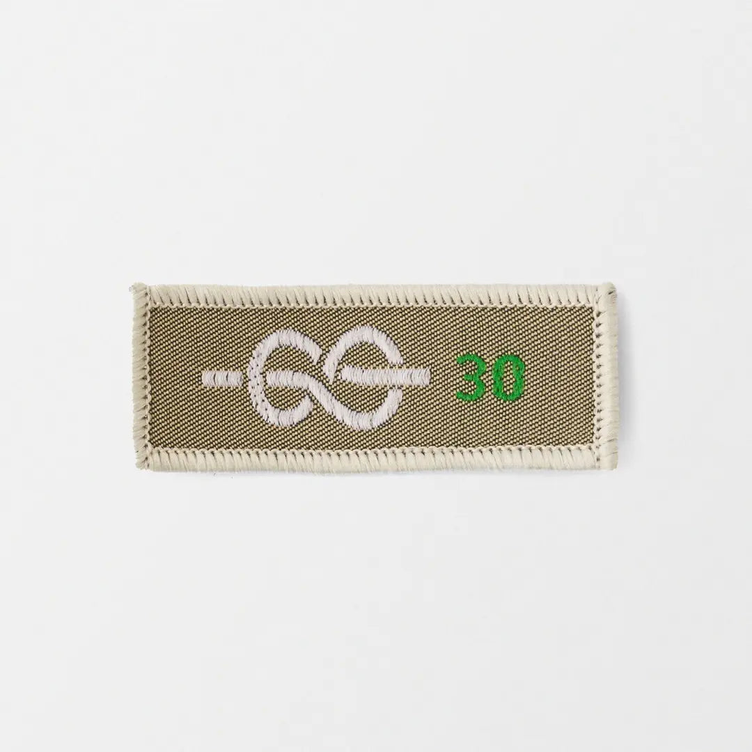 30 Yrs Chief Scout's Service Award