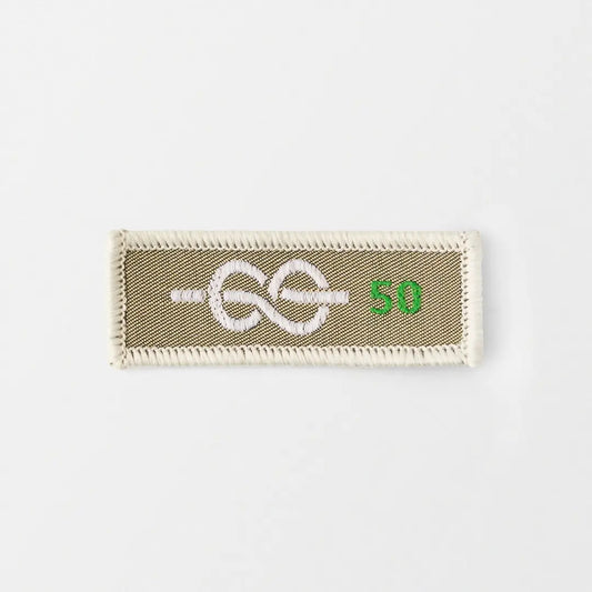 50 Yrs Chief Scout's Service Award