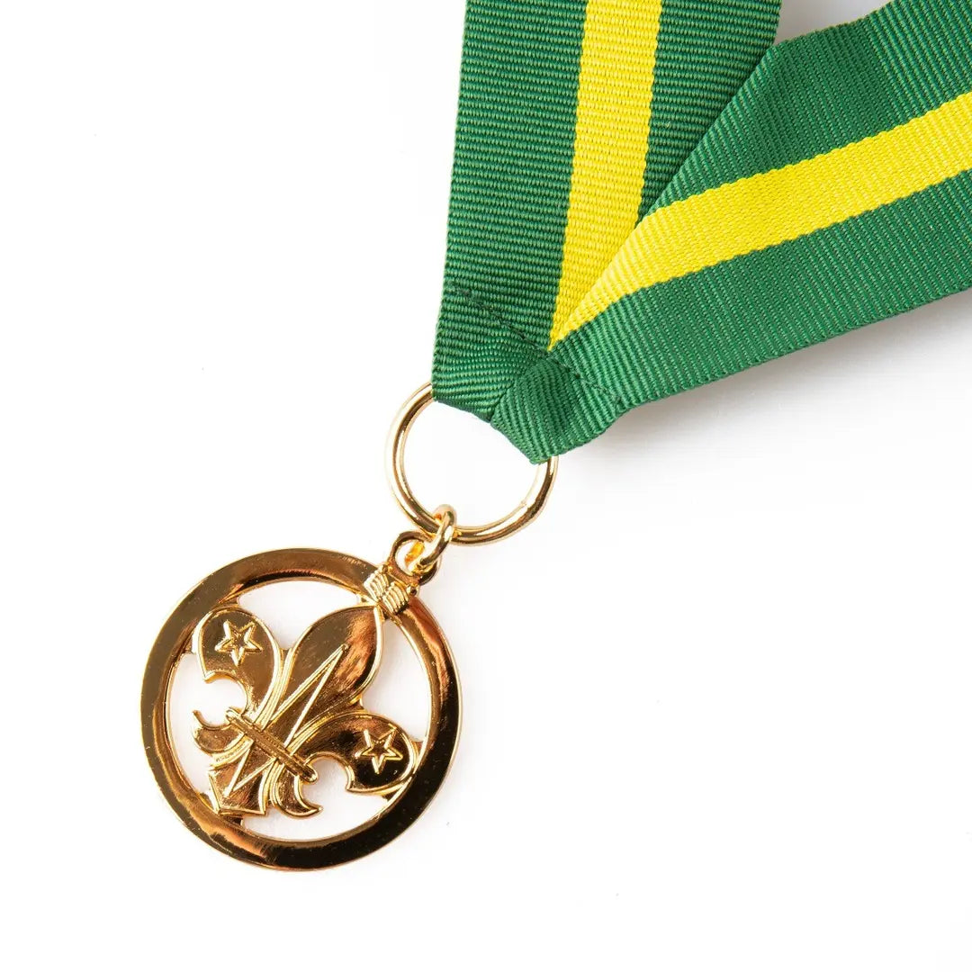 Bar to the Award for Merit