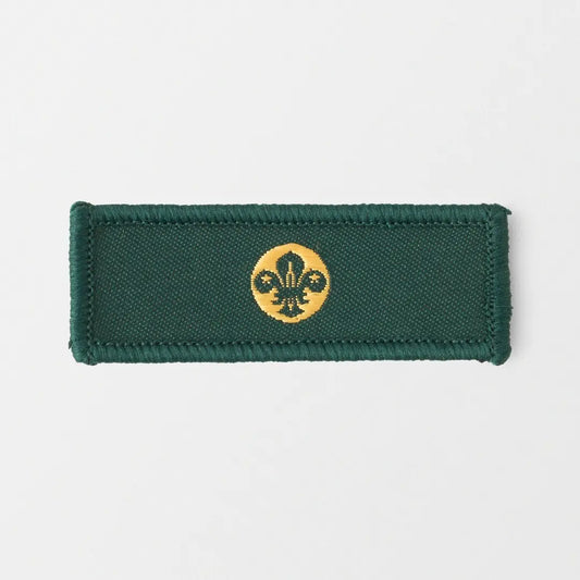 Chief Scout's Personal Award