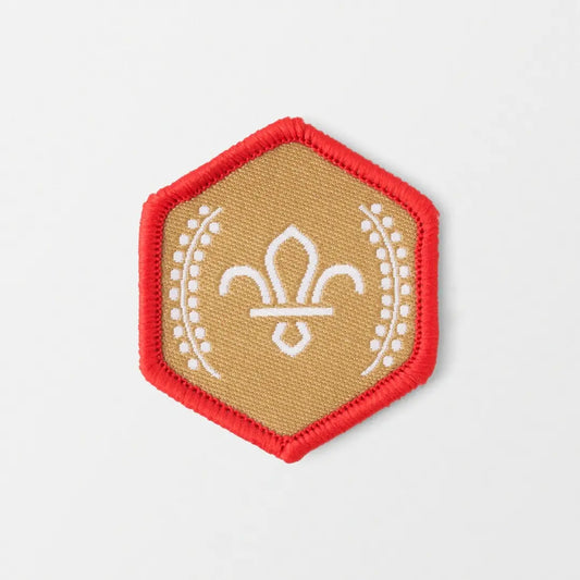 Chief Scout's Gold Award Badge