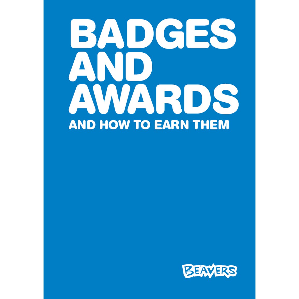 Beaver Scouts Badges and Awards Book