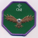 Chil Cub blanket Badge