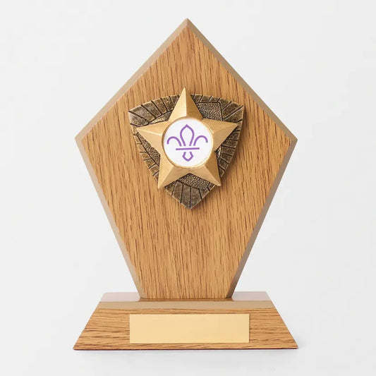 Wooden Star Trophy with Fleur de Lis Scouts Logo 17.5cm