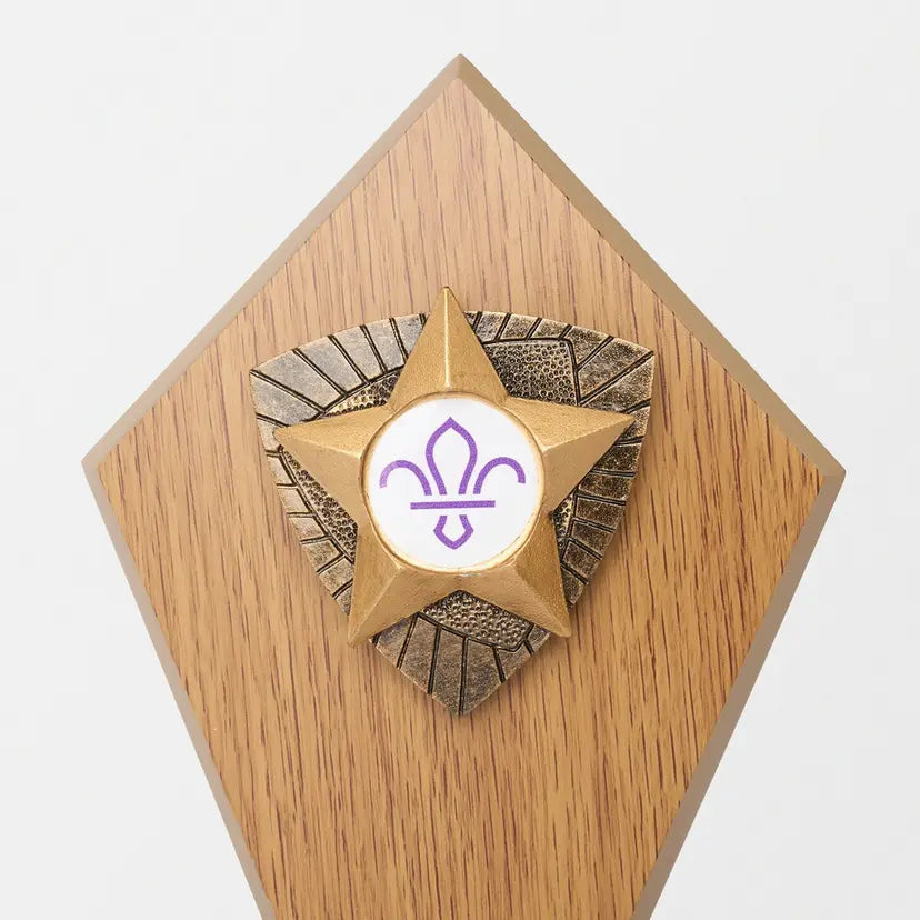 Wooden Star Trophy with Fleur de Lis Scouts Logo 17.5cm