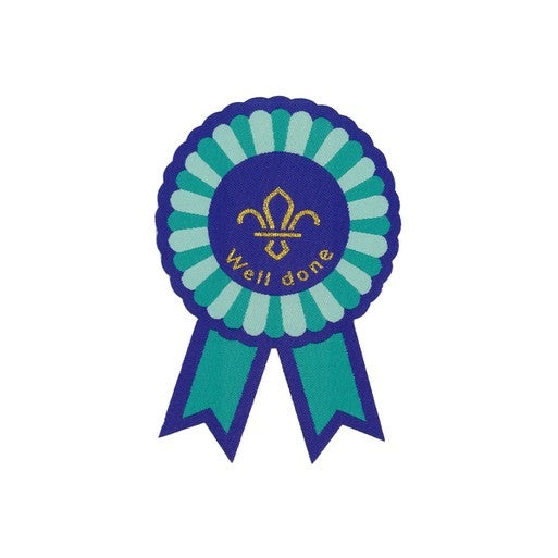 Scouts Fleur de Lis Well done Card and Badge