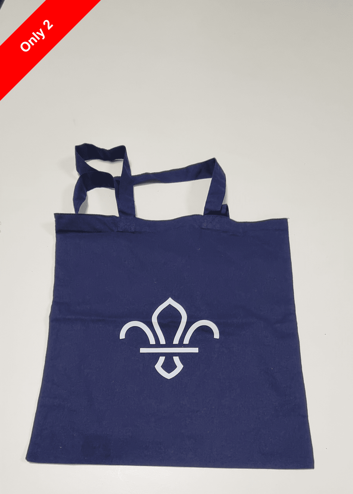 Fleur de Lis Scouts Recycled Tote Bag