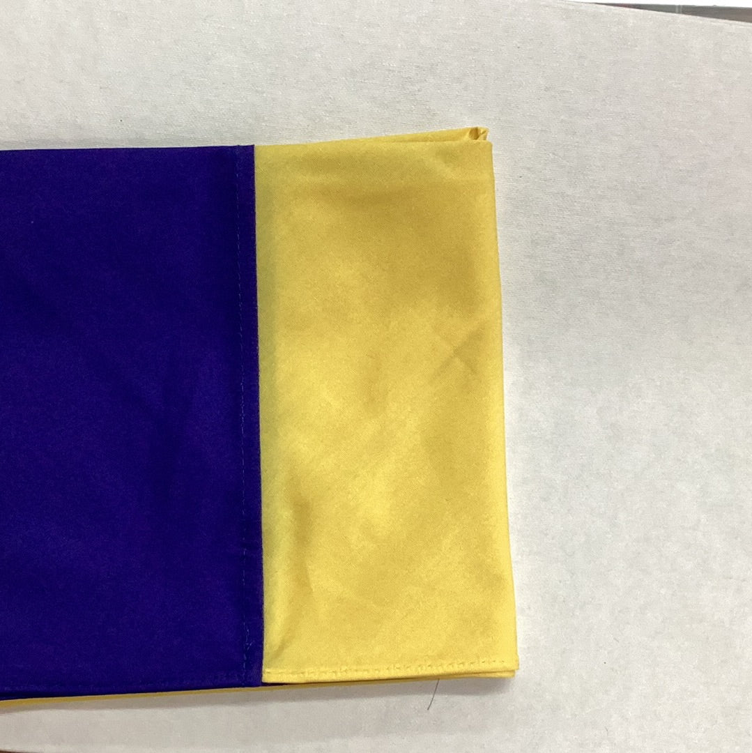 Basingstoke West District Scarf/Necker