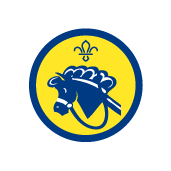 Beavers Hobbies Activity Badge