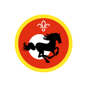 Cubs Equestrian Activity Badge