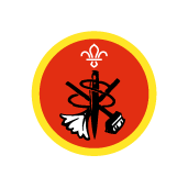 Cubs Home Help Activity Badge