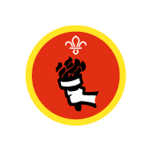 Cubss Sports Enthusiast Activity Badge