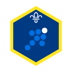 Cubs Team Leader Challenge Award Badge