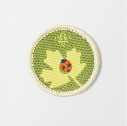 Explorers Nature Activity Badge