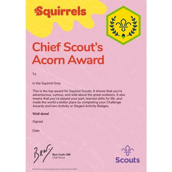 Squirrels Chief Scout Award Acorn Certificates Pack of 10