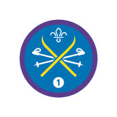 Snowsports Staged Activity Badge