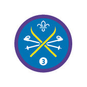 Snowsports Staged Activity Badge