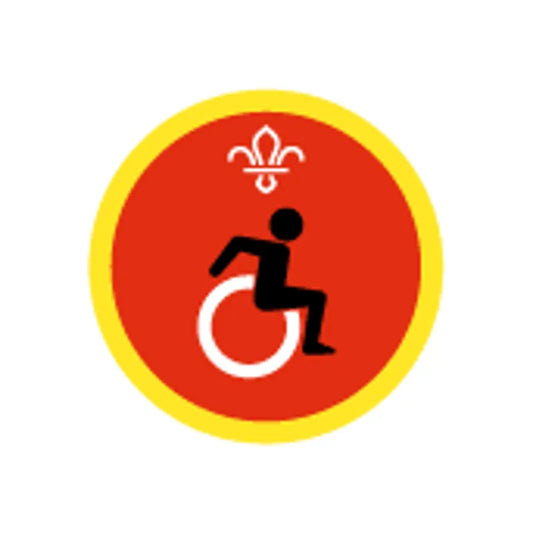 Cubs Disability Awareness Activity Badge Old Design