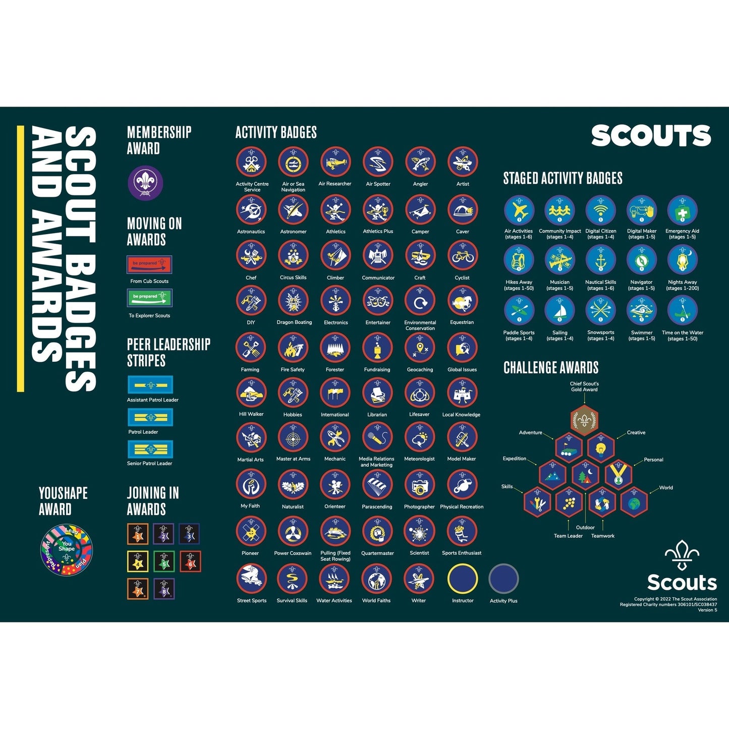 Badge Poster Scouts