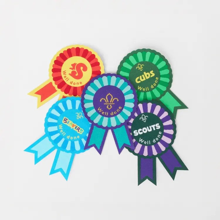 Cubs Well Done Blanket Badge