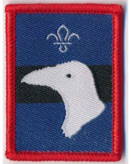 Patrol Badge Raven