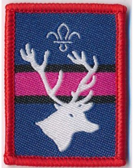 Patrol Badge Stag