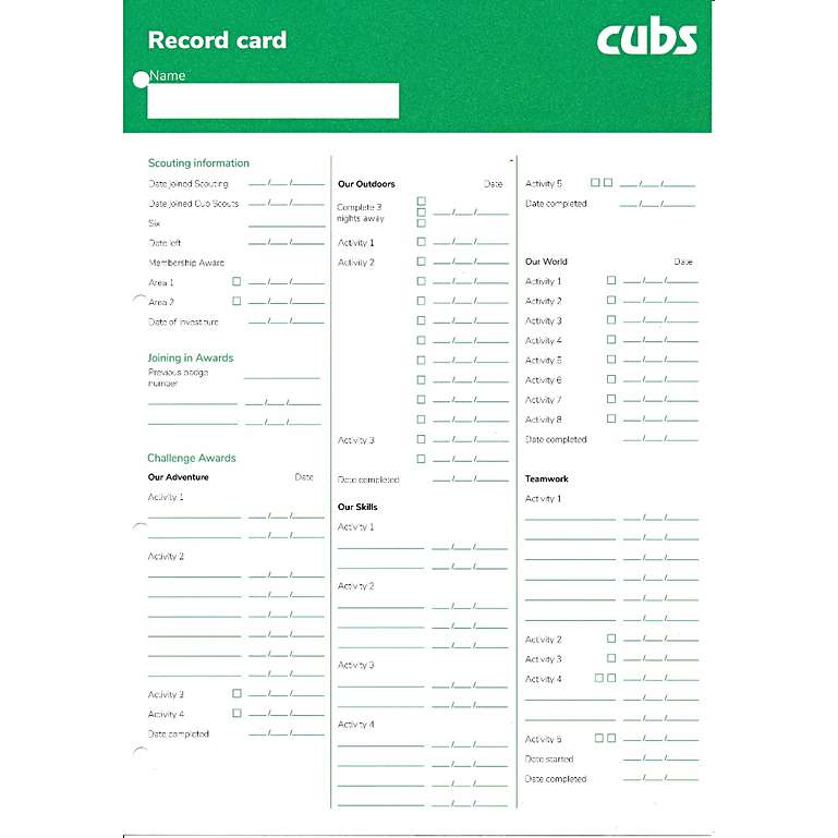Cubs Record Cards Pack of 10