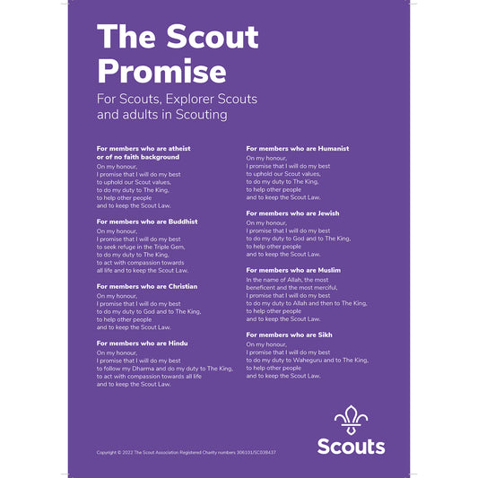 Promise Poster Scouts, Explorers & Adults